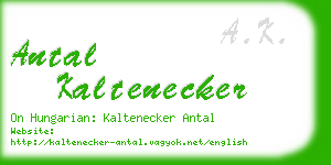 antal kaltenecker business card